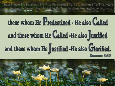 Romans 8:30 Foreknown Predestined Called Justified Glorified (sage)